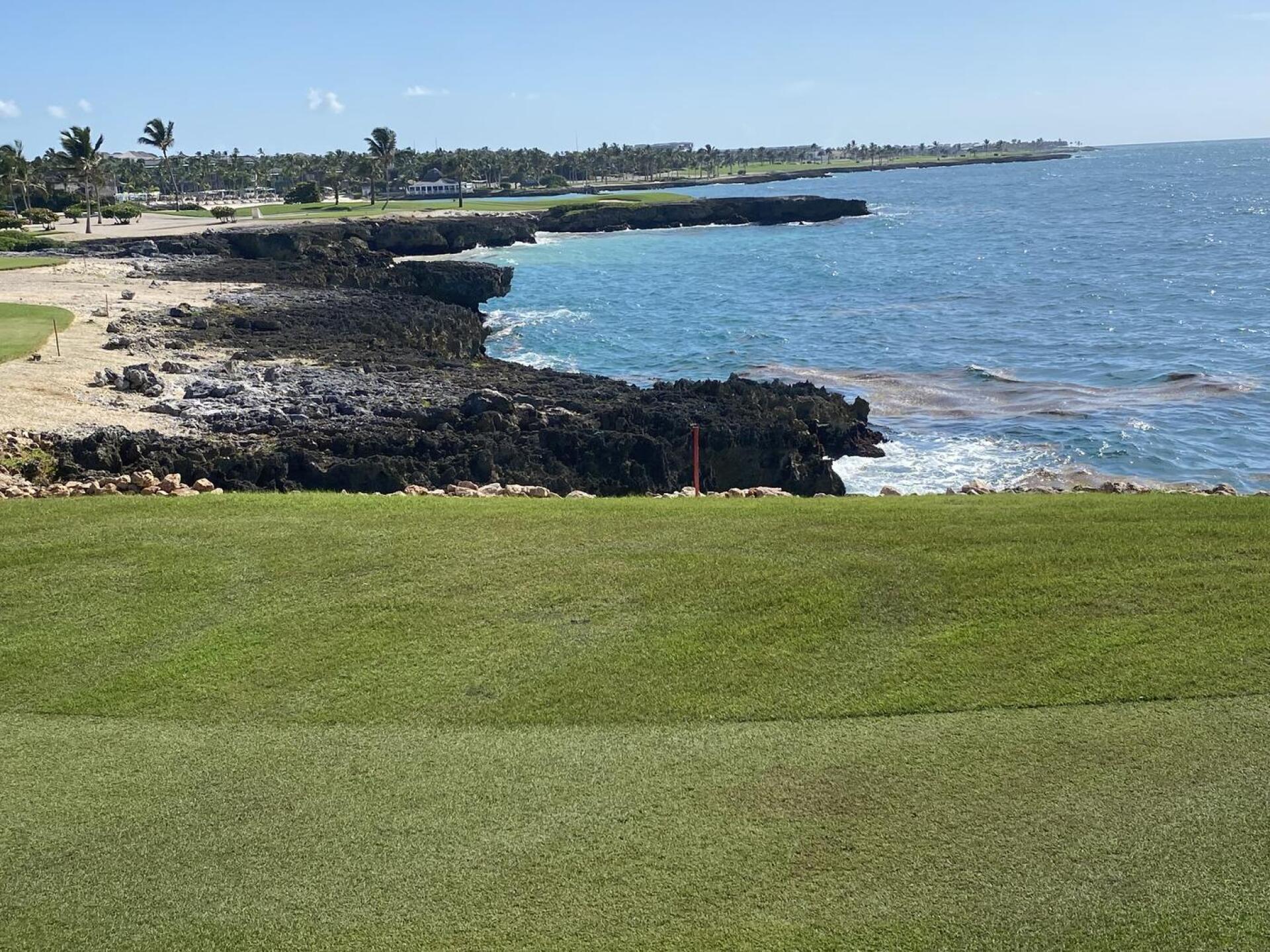 (Photo submitted by tobycates on 07/24/2024)