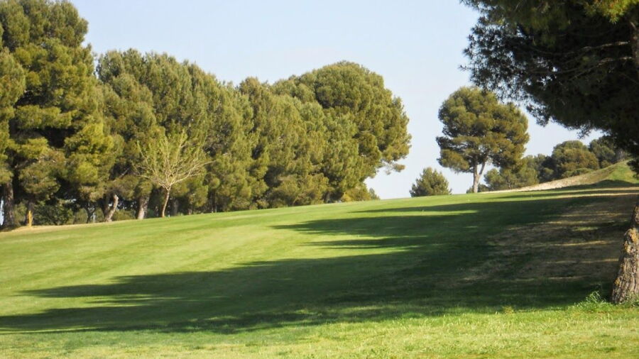 Real Aeroclub de Zaragoza: #1