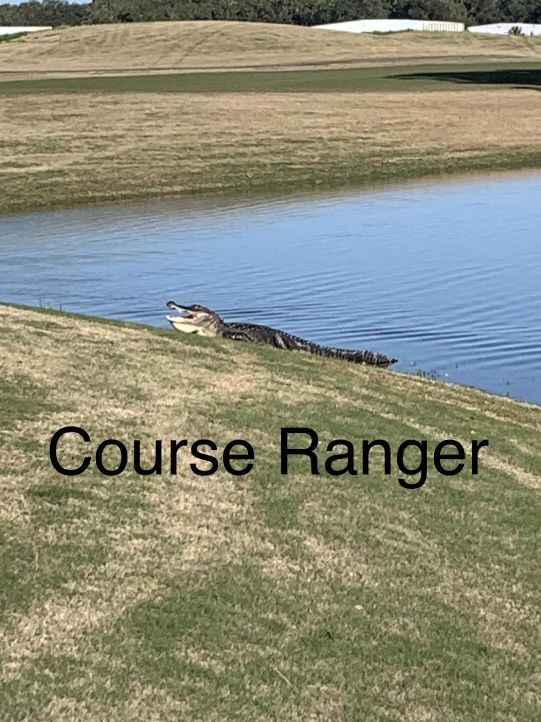 (Photo submitted by u314160107091 on 02/26/2021)