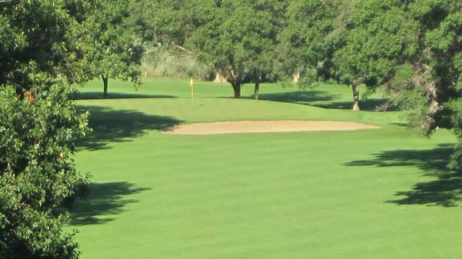 Hazen GC: #7