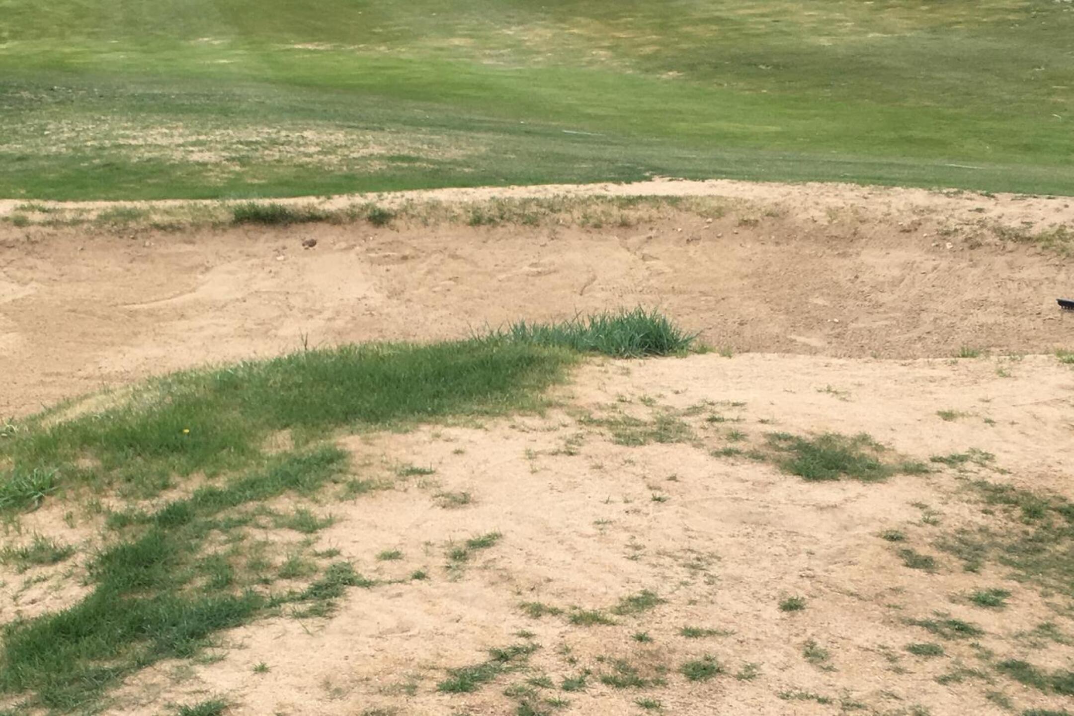 On #4 the bunker, the fairway, the greenside rough have combined forces to become one super bunker. (Photo submitted by cbcruz305024 on 04/21/2017)