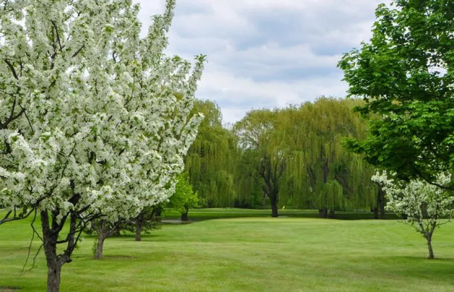 Crooked Creek GC: #10