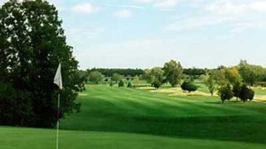 Briar Fox G & CC: #13