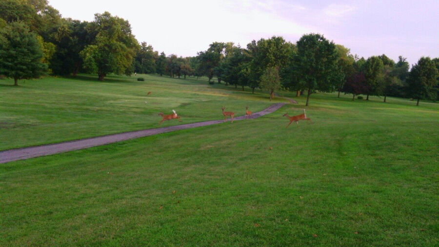 New Albany Springs GC