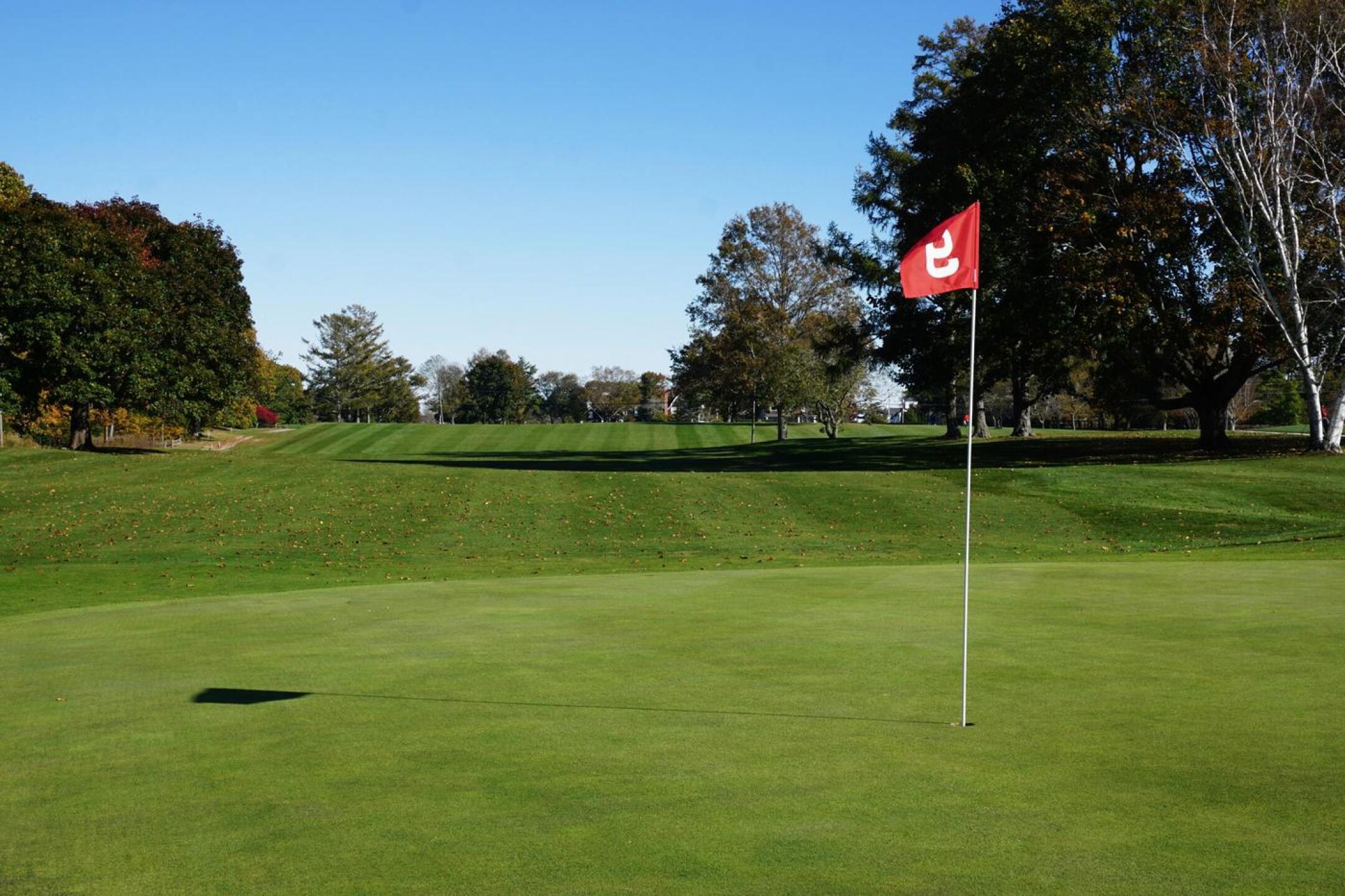 After a romp across a rolling fairway, green nine is the endpoint of your round at this par-five of 545. (Photo submitted by AptlyLinked on 11/08/2021)