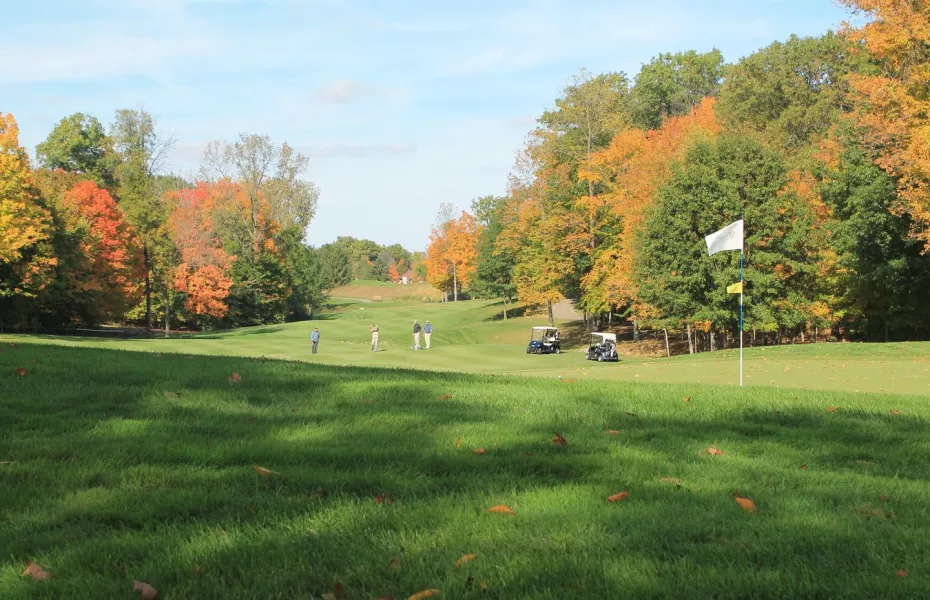 Wedgewood GCC: #6