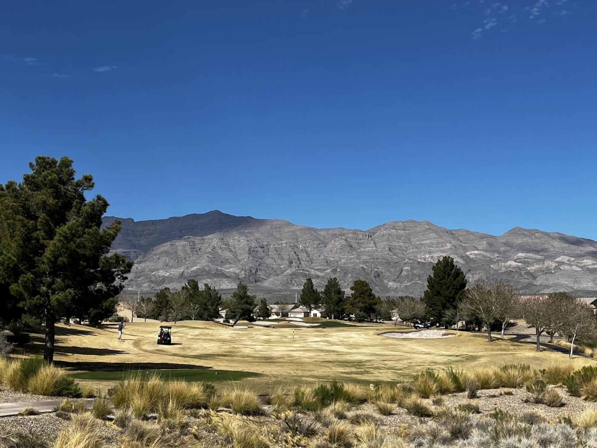 (Photo submitted by Tstep1868 on 03/02/2026)