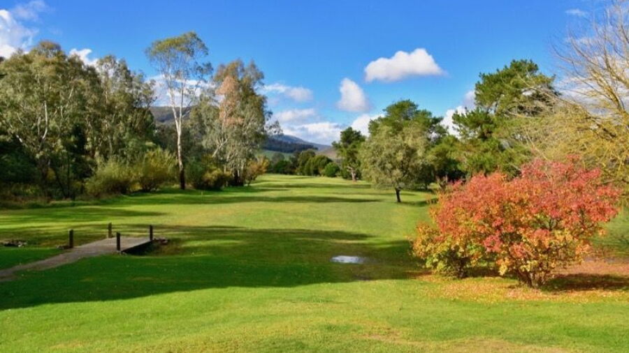 Myrtleford GC: #15