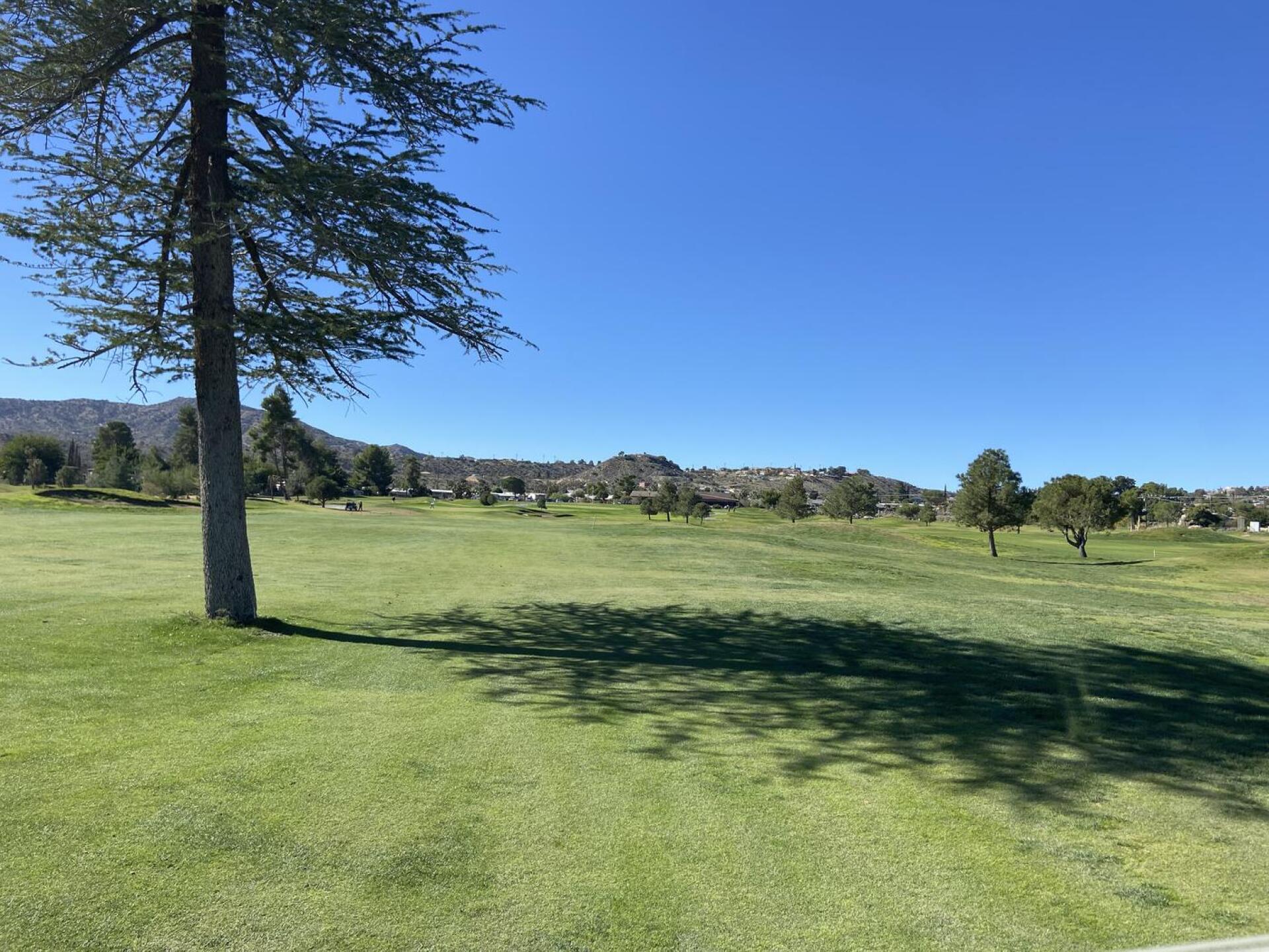 (Photo submitted by amillergolf on 10/21/2025)