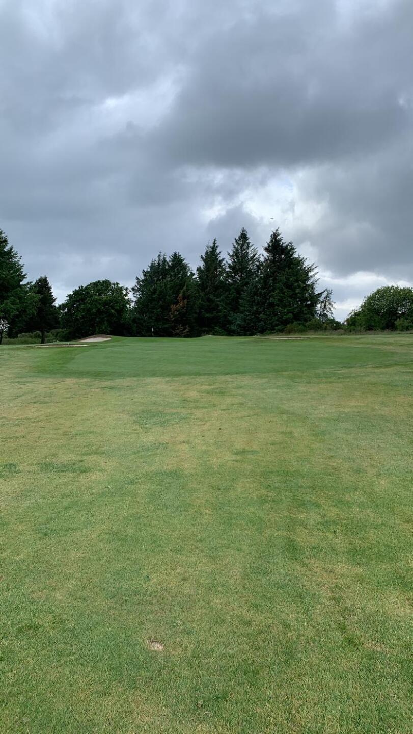 (Photo submitted by GaryKirkwood94 on 06/22/2024)