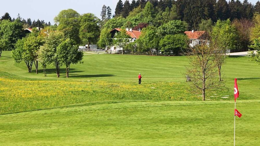 Bergkramerhof GC: #6