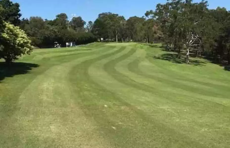 Springwood CC