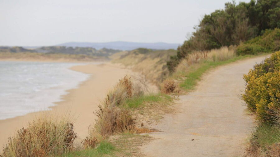 Barnbougle Dunes: path near 5th tee