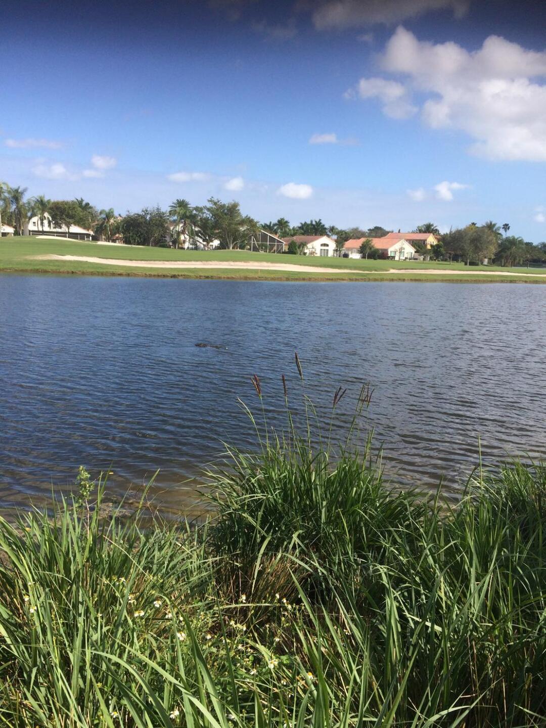 (Photo submitted by SHNYJACK on 02/21/2020)