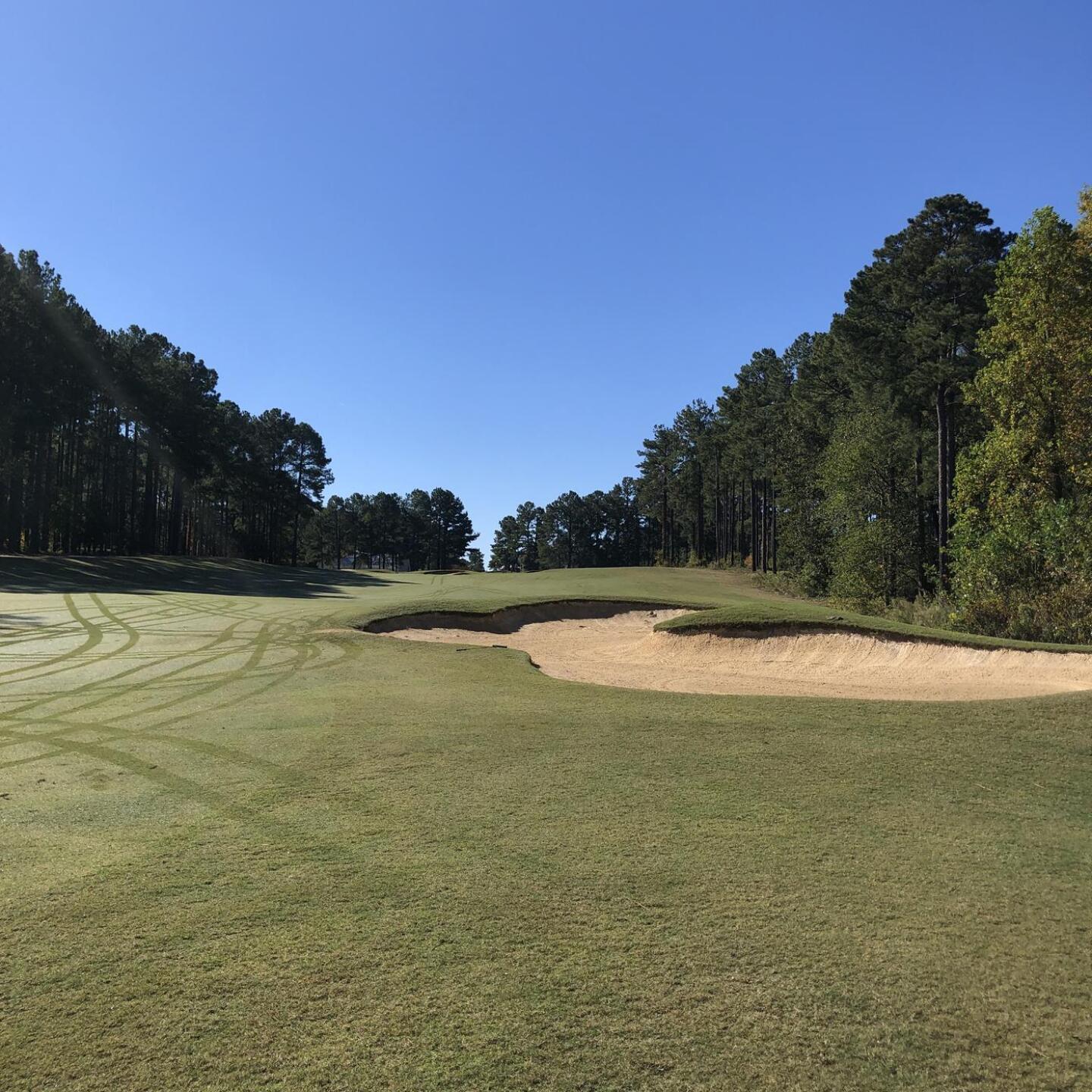 (Photo submitted by blamege on 10/17/2022)