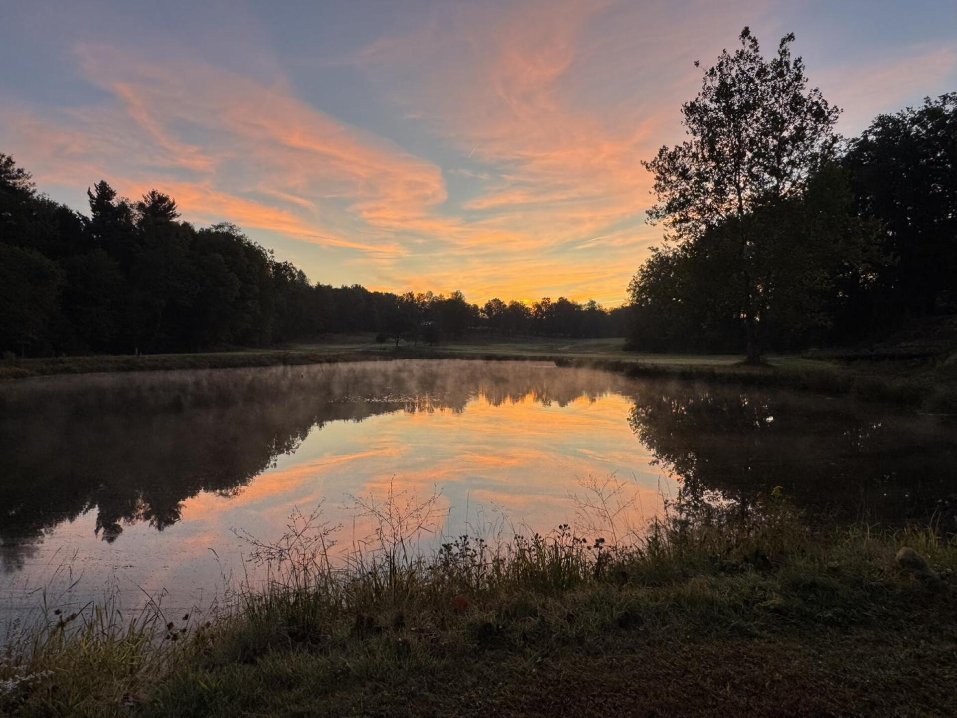 (Photo submitted by u314164445270 on 10/30/2025)