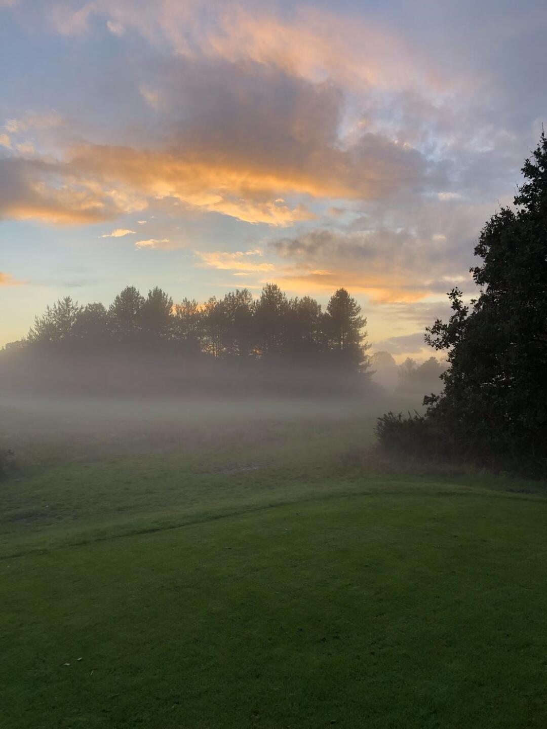 (Photo submitted by t1454767665 on 10/28/2023)