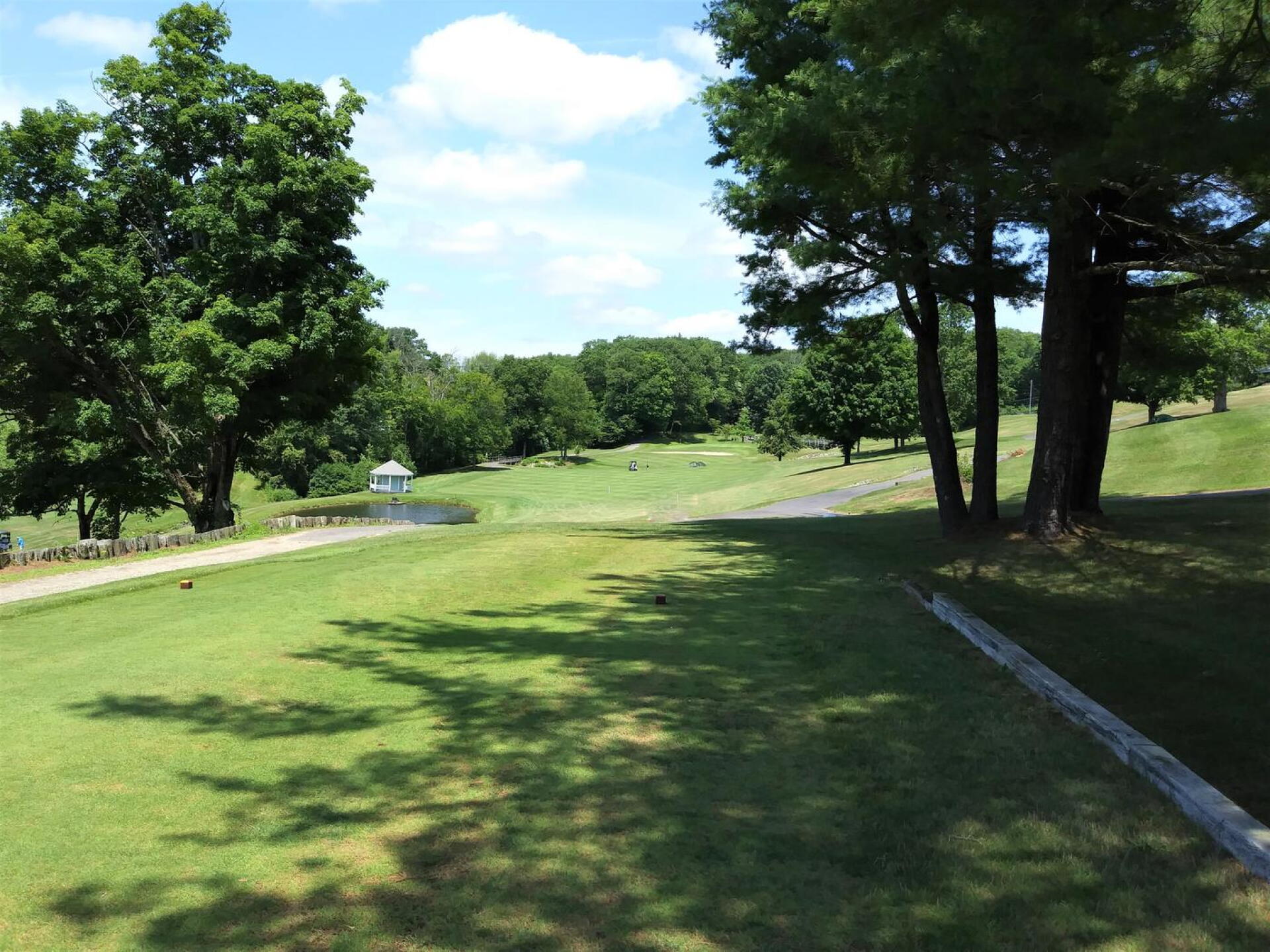 View from the eighth tee. This fairway plays a bit wider than it looks here, but watch out on the left! (Photo submitted by AptlyLinked on 07/18/2020)
