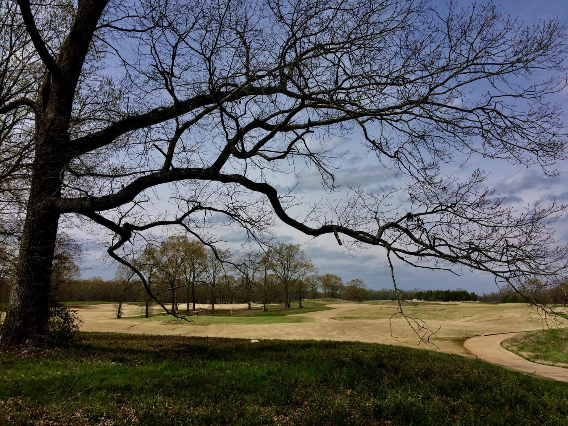 8th hole, Fighting Joe course (Photo submitted by BrandonWebb on 03/24/2017)