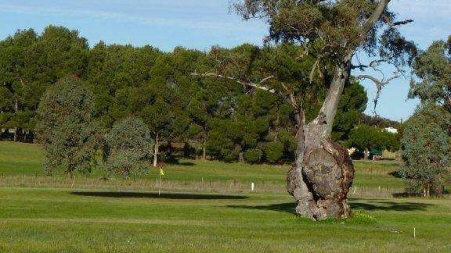 Wirrabara GC