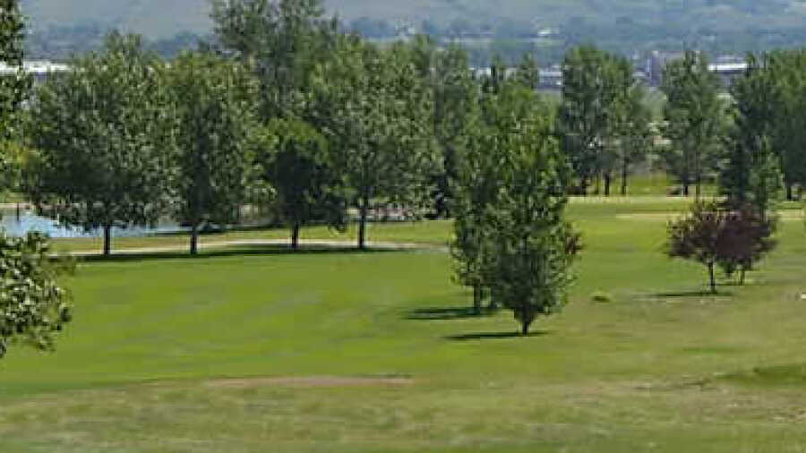 Williston GC 