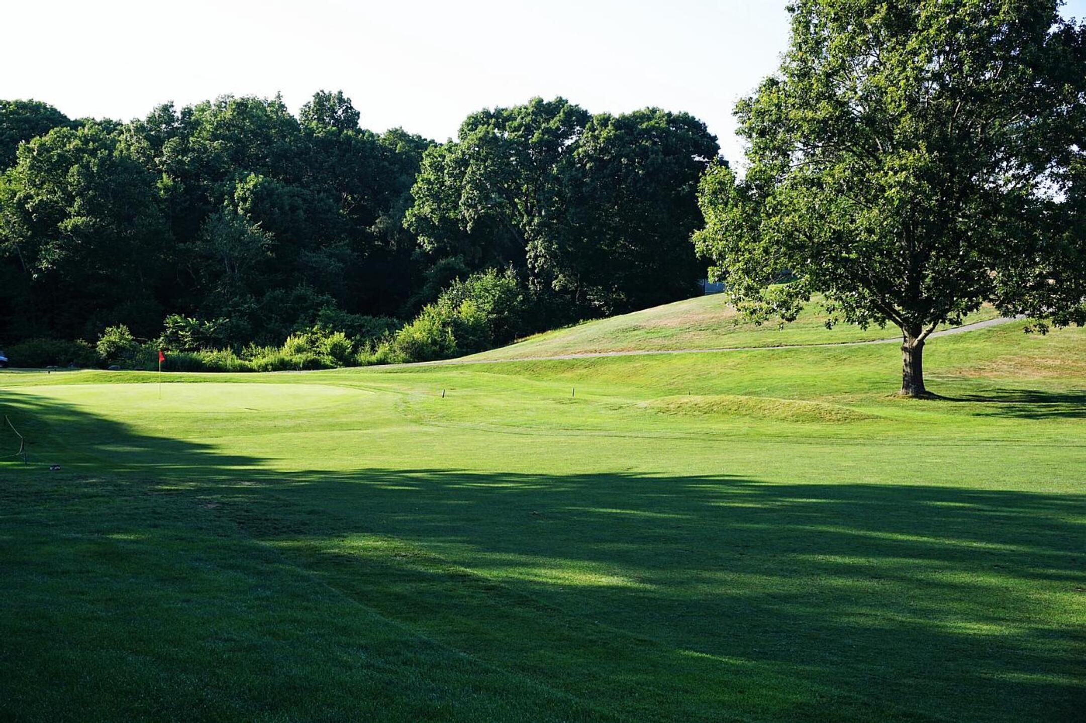 Twelve, another challenging par-5, plays downhill and through the woods. (Photo submitted by AptlyLinked on 07/13/2022)