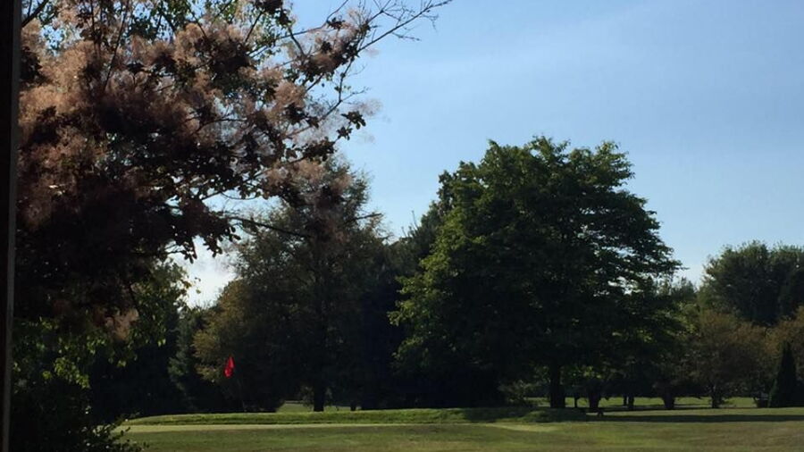 Borland Golf Center