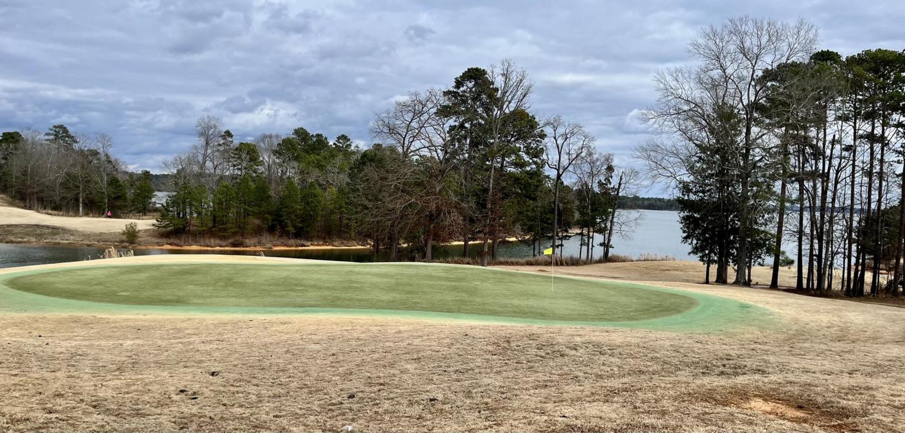 (Photo submitted by rounder355 on 02/19/2026)