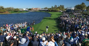 TPC Sawgrass - 18th hole - Rory McIlroy