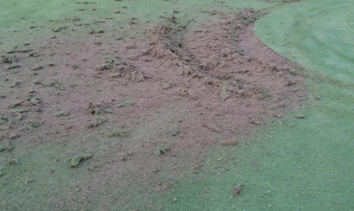 Golf Club of Houston - damage