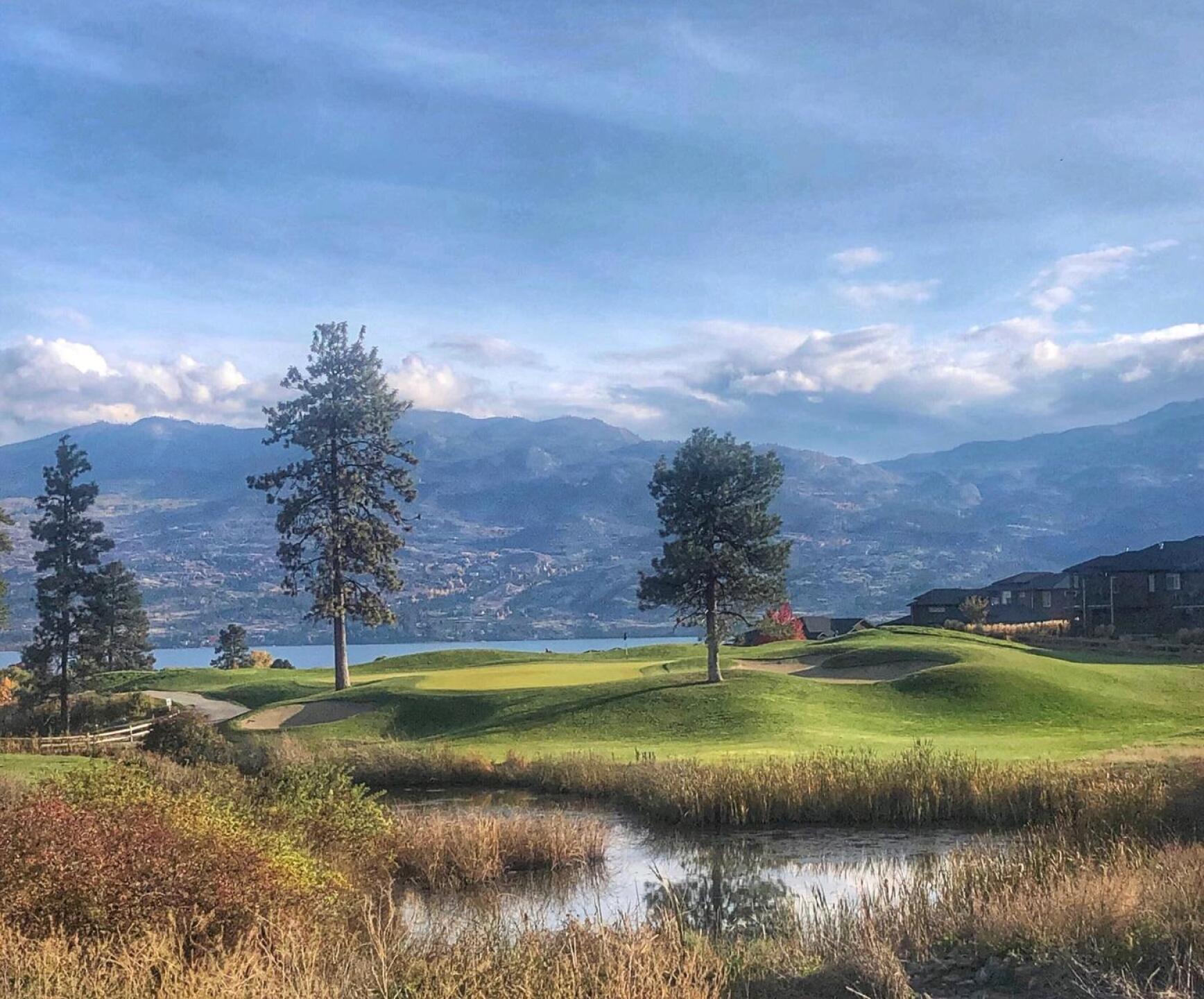 (Photo submitted by Brian1799648 on 11/21/2019)