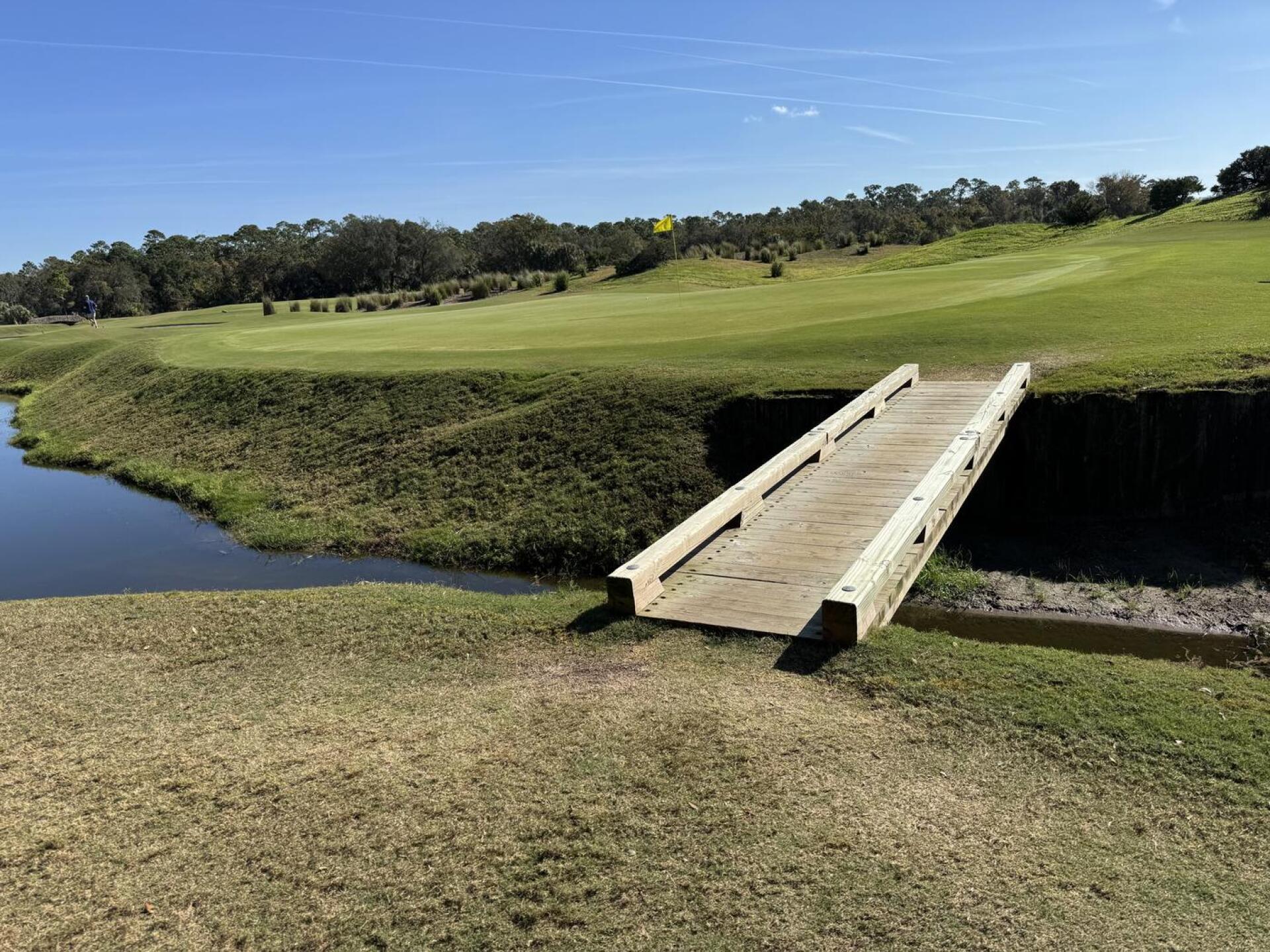 (Photo submitted by gn24210417 on 01/16/2026)