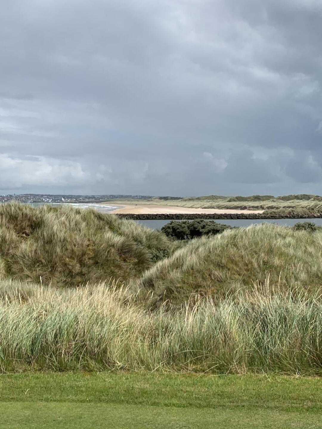 (Photo submitted by u6931589 on 07/14/2023)