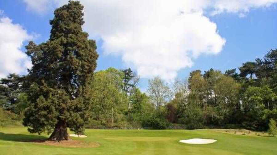 Lingdale GC