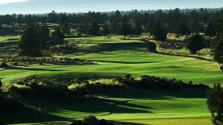 Juniper GC