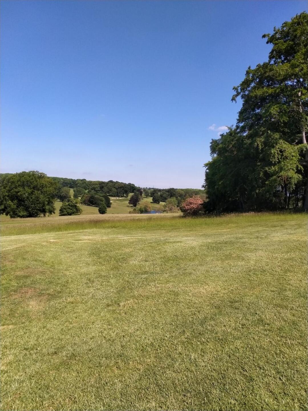 (Photo submitted by chlukeaa on 06/12/2021)