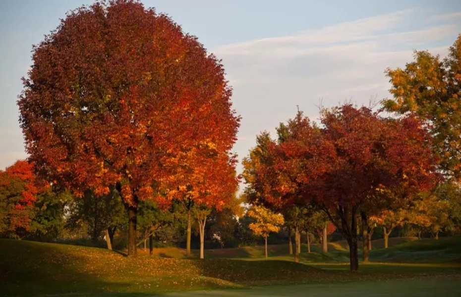 Riverside GC
