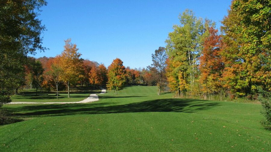 The Ferns Golf Resort: #9