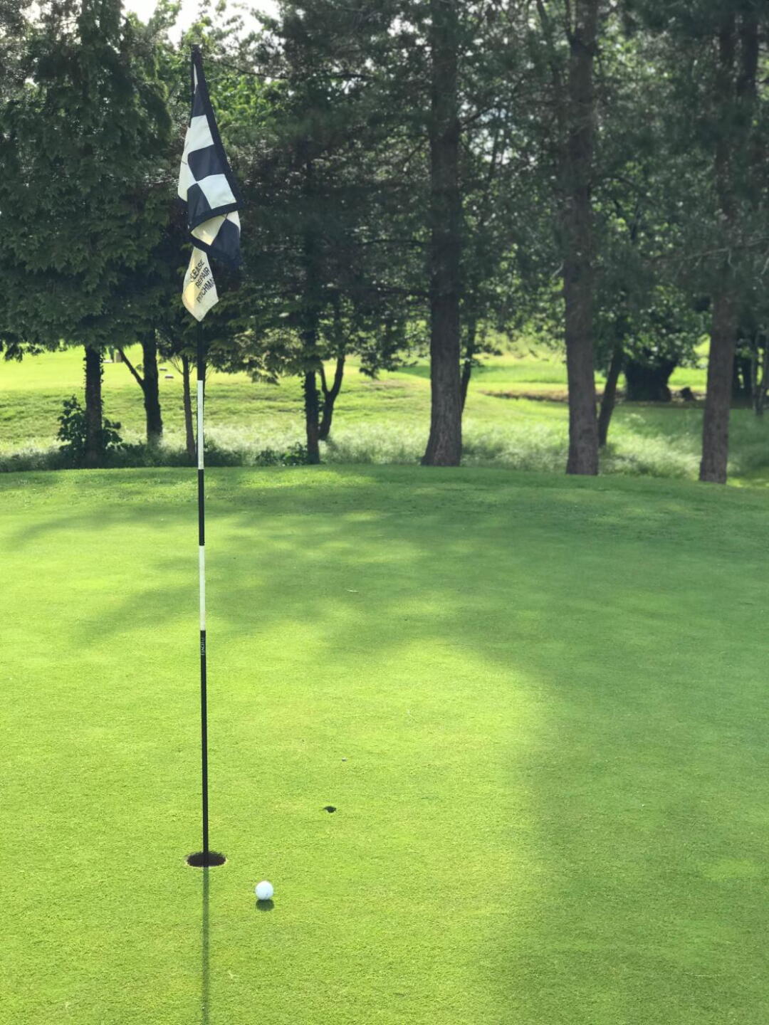 Almost a hio (Photo submitted by t1126883707 on 05/27/2019)