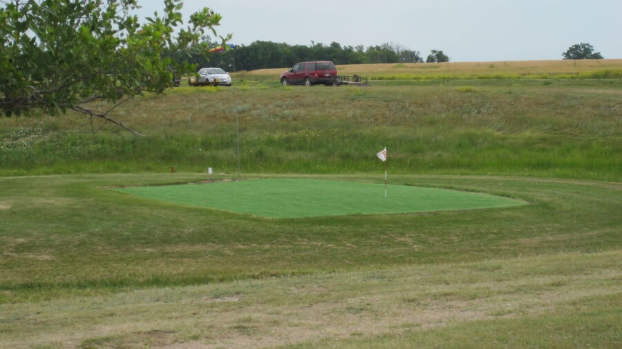 Bison CC: #8