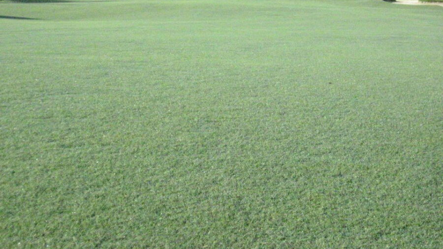 Heritage Bay GCC: #19