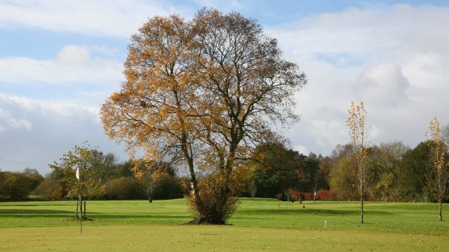 Rhosgoch GC