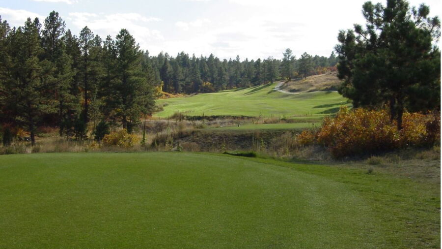 The GC at Bear Dance: #8