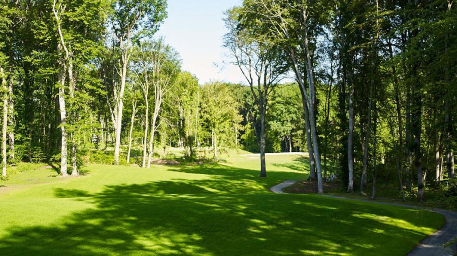 Golf Saint Apollinaire Michelbach-Le-Haut - Tree Garden