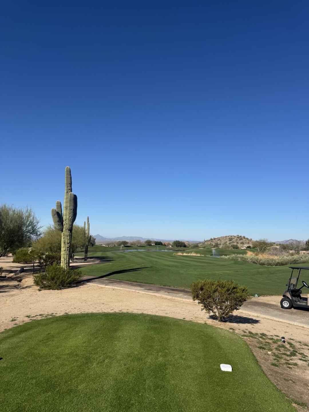 (Photo submitted by AppleID1378 on 02/14/2026)