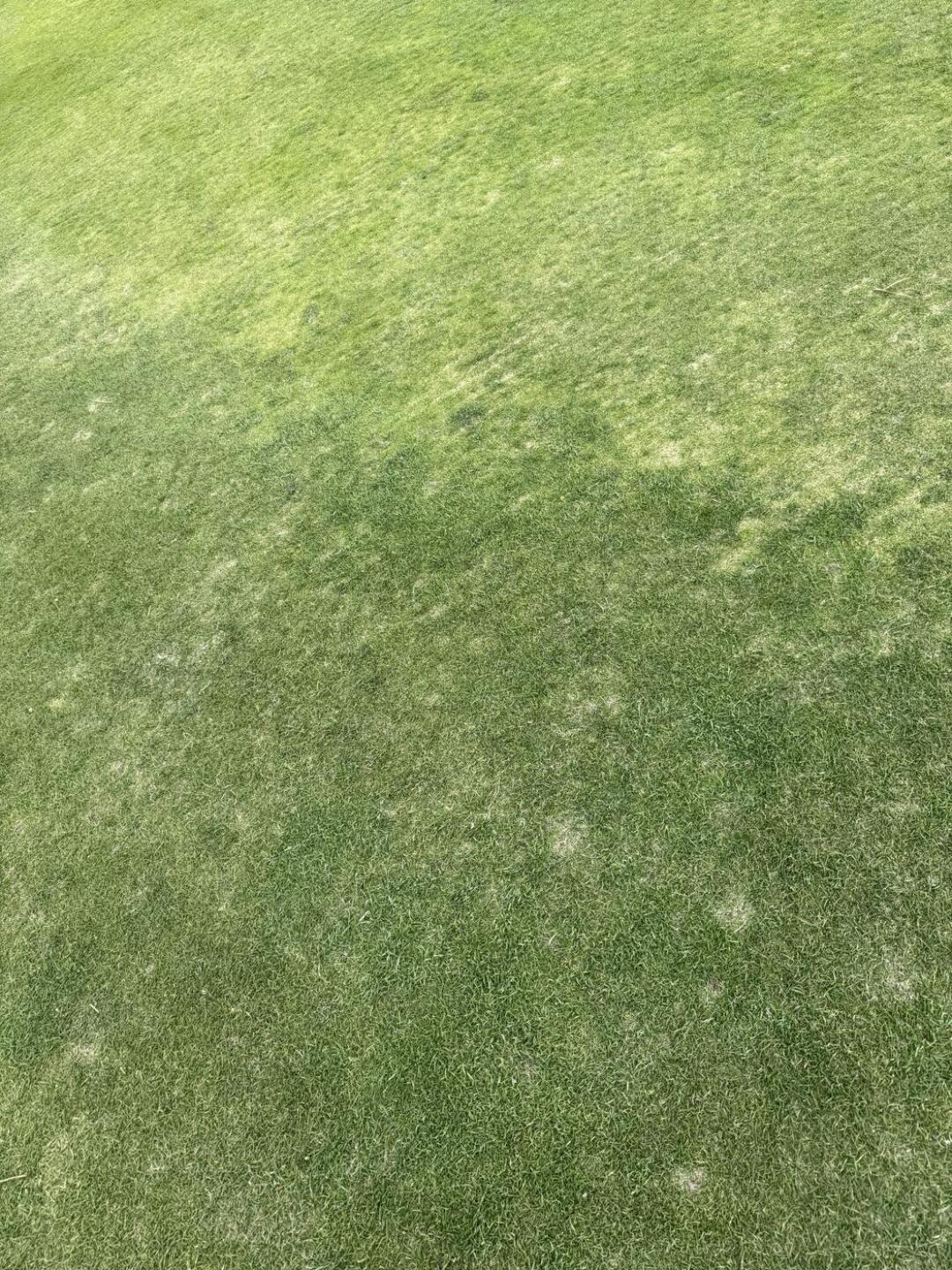 (Photo submitted by u314163115599 on 04/14/2026)