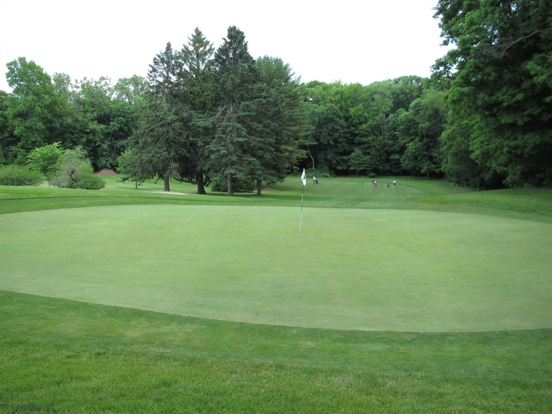 Six: Short but ever-so-tight woodland hole, a dogleg right--uphill to this pitched green. (Photo submitted by AptlyLinked on 06/10/2020)