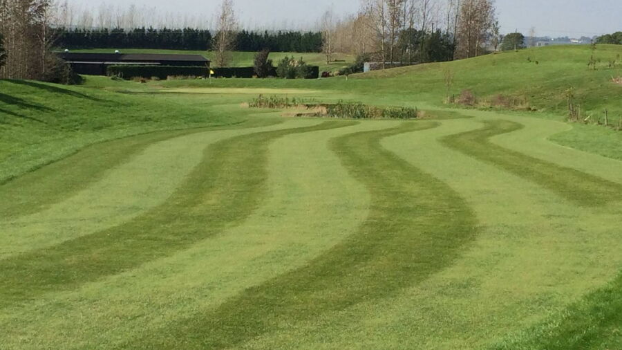 Ely On Par GC