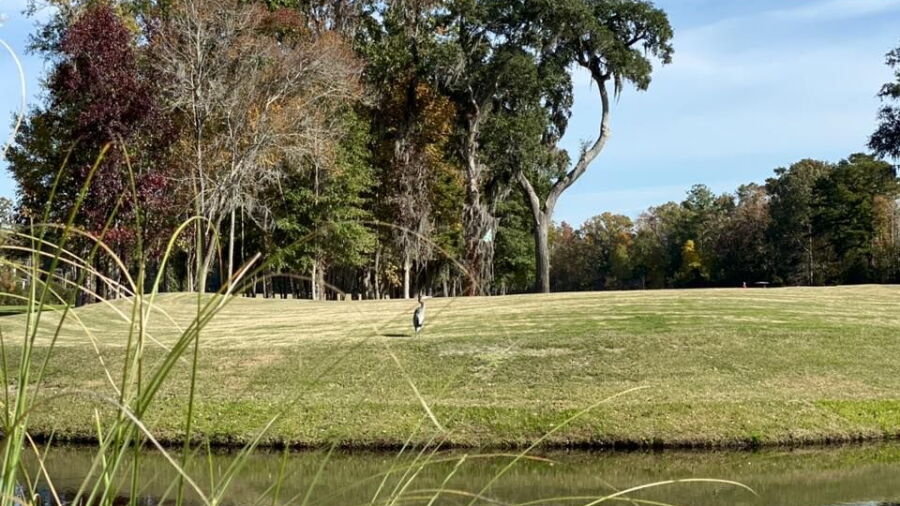 Richmond Hill GC
