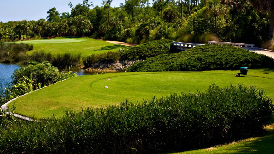 Grey Oaks CC - Estuary